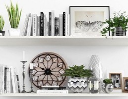 قفسه کتاب + وسایل تزیینی