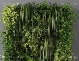 دیوار سبز (گرین وال)