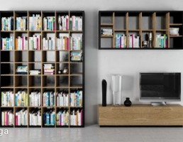 قفسه کتاب + تلویزیون + میز تلویزیون