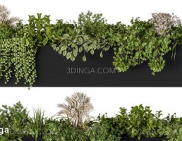 گیاهان در گلدان روی دیوار