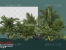 پرسوناژ باغ کوچک با انواع درختان