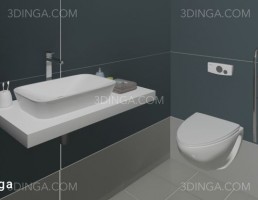 سرویس بهداشتی