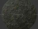 تکسچر PBR گل خزه دار