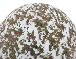 تکسچر چمن و خاک پوشیده شده با برف