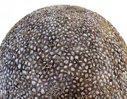 تکسچر پیاده رو با چوب
