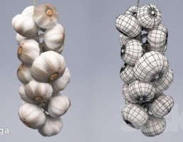 بسته سیر