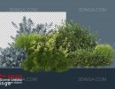 پرسوناژ بوته گیاهان طبیعی