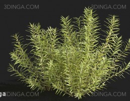 انواع گیاهان بهاری