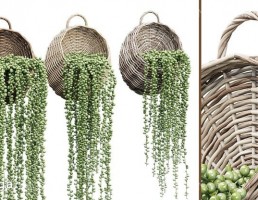 گل در سبد حصیری آویز