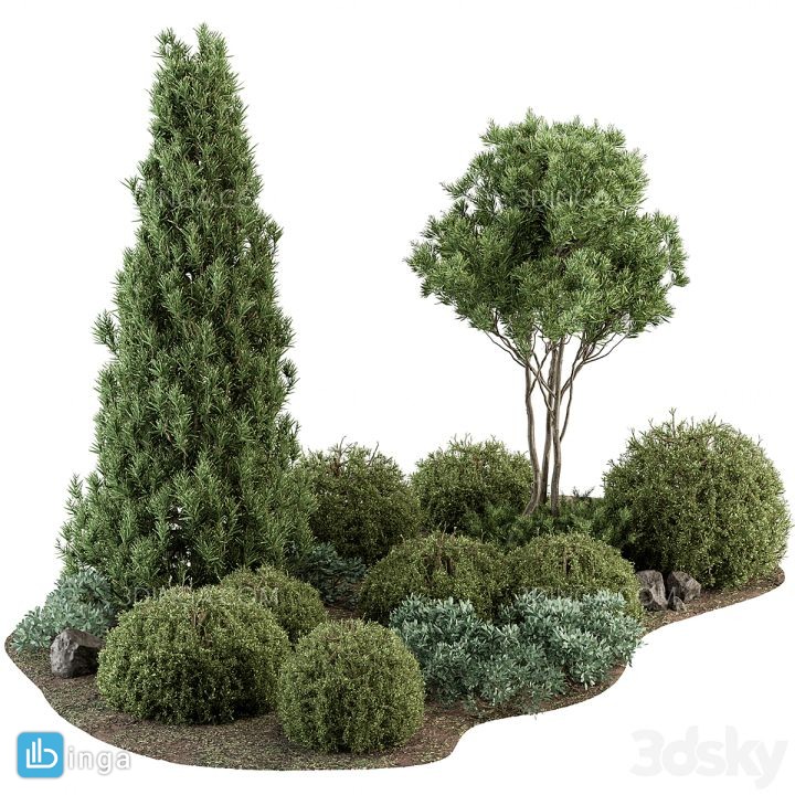 بوته و درختچه ی فضای باز