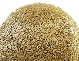 تکسچر گلوله