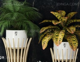 مجموعه گلدان + گل