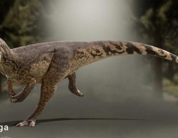 دایناسور Allosaurus fragilis