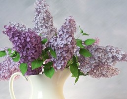 گلدان + گل یاس خوشه ایی