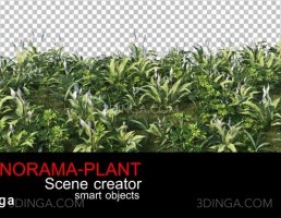 پرسوناژ انواع گیاهان طبیعی