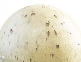 تکسچر فلز زرد رنگ