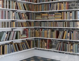 قفسه کتاب