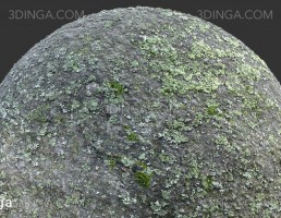 تکسچر صخره خز گرفته