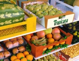کیت فروشگاه میوه فروشی