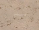 تکسچر شن و ماسه زمینی