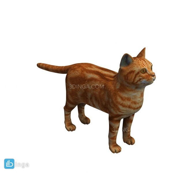 دانلود آبجکت گربه بسیار زیبا