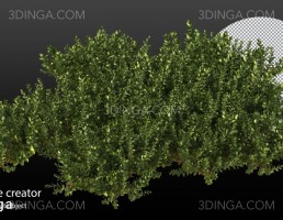 پرسوناژ گیاهان طبیعی