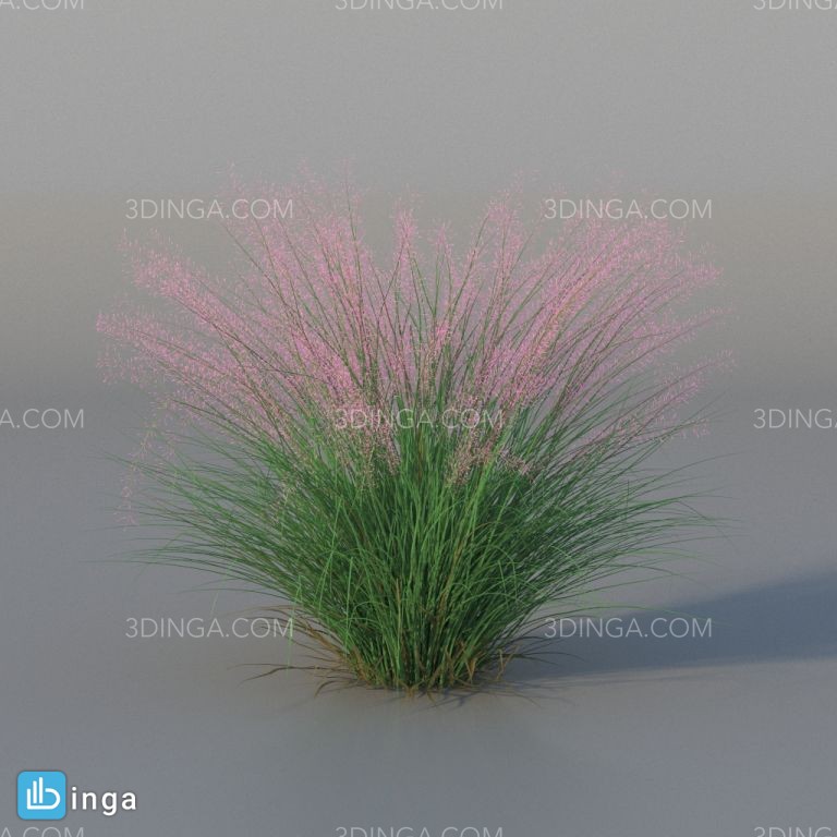 بوته گل اروپایی و آمریکای شمالی