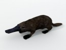 platypus (پلاستیک)