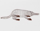 platypus (پلاستیک)