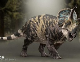 دایناسور xerinsularis