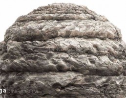 تکسچر صخره سنگ
