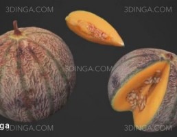 خربزه (ملون)