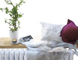 دکور جلوپنجره