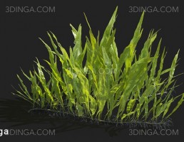 انواع گیاهان بهاری