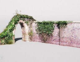دیوار باغ + گیاهان پیچک آویز