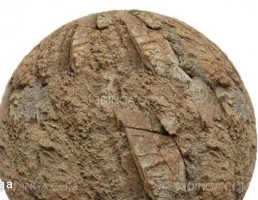 تکسچر سنگ نارنجی