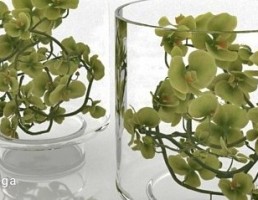 مدل سه بعدی گیاهان دکوری