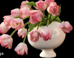 گلدان + گل رز